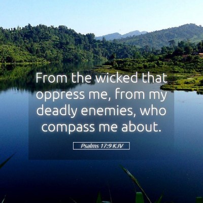 Picture 05 - Psalms 17:9 KJV - From the wicked that oppress me, from my deadly - Bible Verse Picture
