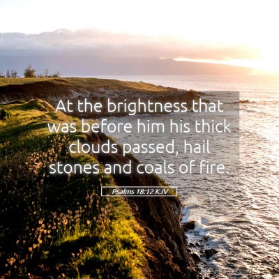 Picture 05 - Psalms 18:12 KJV - At the brightness that was before him his thick - Bible Verse Picture