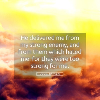 Picture 05 - Psalms 18:17 KJV - He delivered me from my strong enemy, and from - Bible Verse Picture