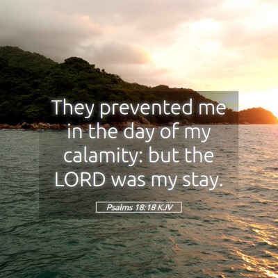 Picture 05 - Psalms 18:18 KJV - They prevented me in the day of my calamity: but - Bible Verse Picture