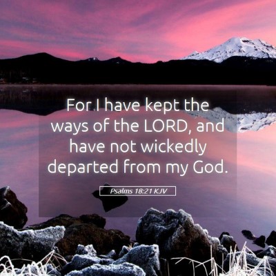 Picture 05 - Psalms 18:21 KJV - For I have kept the ways of the LORD, and have - Bible Verse Picture