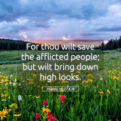 Picture 05 - Psalms 18:27 KJV - For thou wilt save the afflicted people; but wilt - Bible Verse Picture