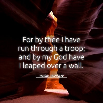 Picture 05 - Psalms 18:29 KJV - For by thee I have run through a troop; and by my - Bible Verse Picture
