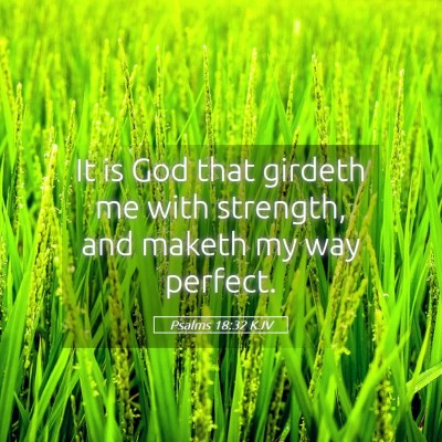 Picture 05 - Psalms 18:32 KJV - It is God that girdeth me with strength, and - Bible Verse Picture