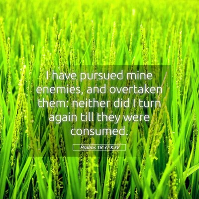 Picture 05 - Psalms 18:37 KJV - I have pursued mine enemies, and overtaken them: - Bible Verse Picture