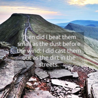 Picture 05 - Psalms 18:42 KJV - Then did I beat them small as the dust before the - Bible Verse Picture