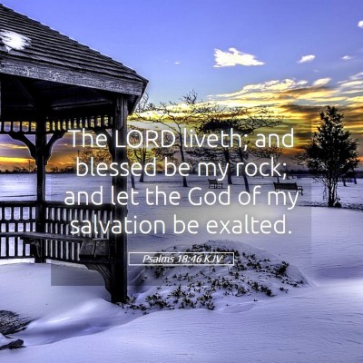 Picture 05 - Psalms 18:46 KJV - The LORD liveth; and blessed be my rock; and let - Bible Verse Picture