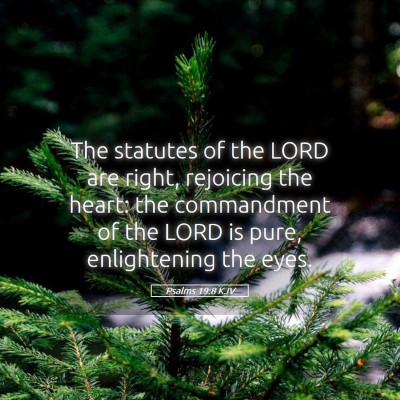 Picture 05 - Psalms 19:8 KJV - The statutes of the LORD are right, rejoicing the - Bible Verse Picture