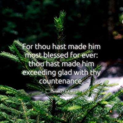 Picture 05 - Psalms 21:6 KJV - For thou hast made him most blessed for ever: - Bible Verse Picture