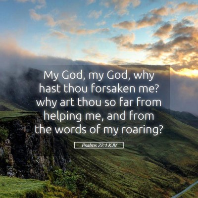 Picture 05 - Psalms 22:1 KJV - My God, my God, why hast thou forsaken me? why - Bible Verse Picture
