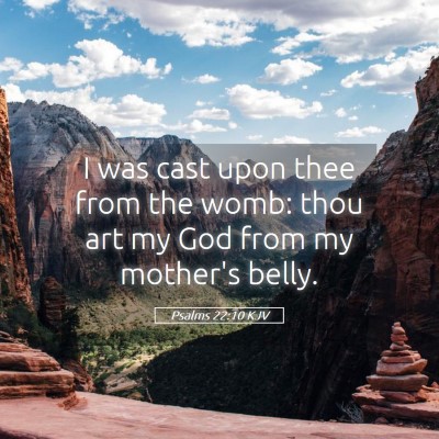 Picture 05 - Psalms 22:10 KJV - I was cast upon thee from the womb: thou art my - Bible Verse Picture