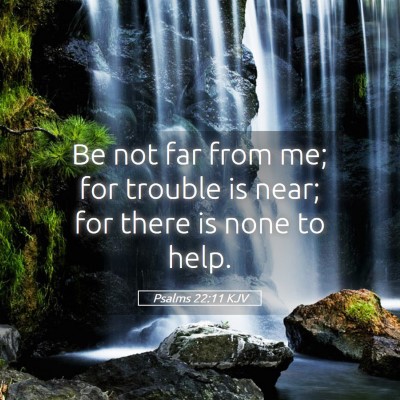 Picture 05 - Psalms 22:11 KJV - Be not far from me; for trouble is near; for - Bible Verse Picture