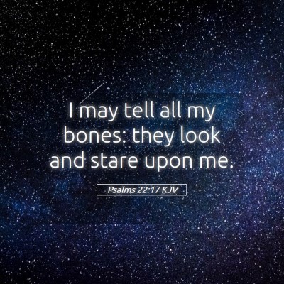Picture 05 - Psalms 22:17 KJV - I may tell all my bones: they look and stare upon - Bible Verse Picture