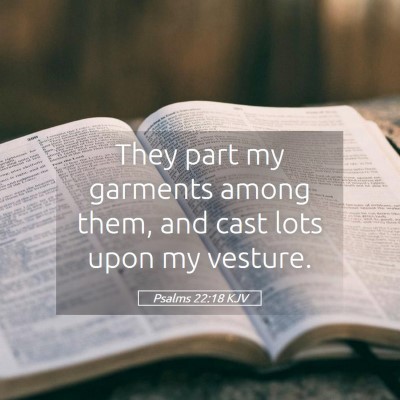 Picture 05 - Psalms 22:18 KJV - They part my garments among them, and cast lots - Bible Verse Picture