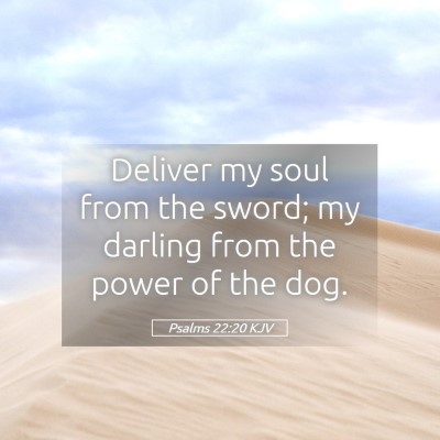 Picture 05 - Psalms 22:20 KJV - Deliver my soul from the sword; my darling from - Bible Verse Picture