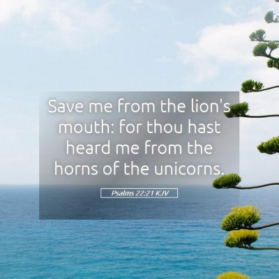 Picture 05 - Psalms 22:21 KJV - Save me from the lion's mouth: for thou hast - Bible Verse Picture