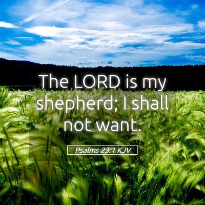 Picture 05 - Psalms 23:1 KJV - The LORD is my shepherd; I shall not - Bible Verse Picture
