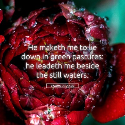 Picture 05 - Psalms 23:2 KJV - He maketh me to lie down in green pastures: he - Bible Verse Picture