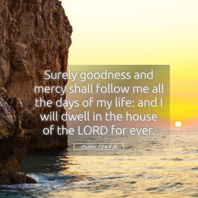 Picture 05 - Psalms 23:6 KJV - Surely goodness and mercy shall follow me all the - Bible Verse Picture