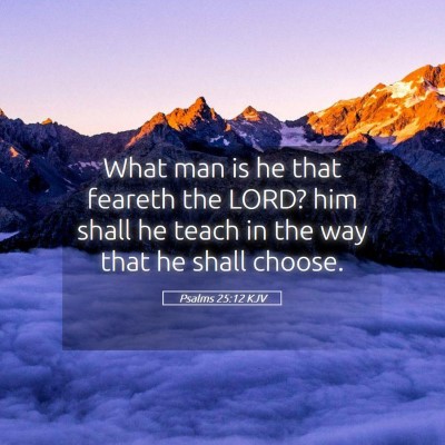 Picture 05 - Psalms 25:12 KJV - What man is he that feareth the LORD? him shall - Bible Verse Picture