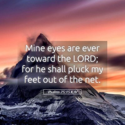 Picture 05 - Psalms 25:15 KJV - Mine eyes are ever toward the LORD; for he shall - Bible Verse Picture