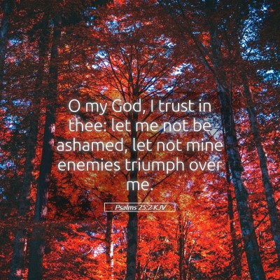 Picture 05 - Psalms 25:2 KJV - O my God, I trust in thee: let me not be ashamed, - Bible Verse Picture