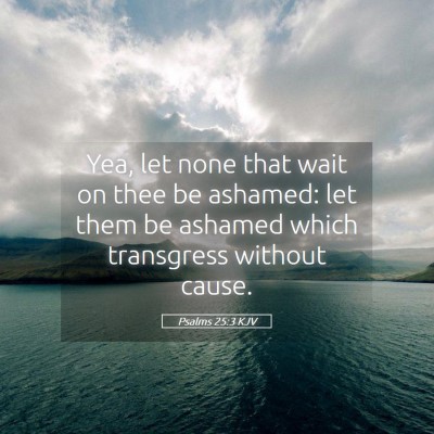 Picture 05 - Psalms 25:3 KJV - Yea, let none that wait on thee be ashamed: let - Bible Verse Picture
