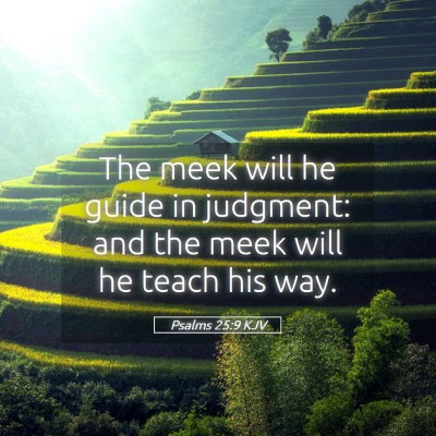 Picture 05 - Psalms 25:9 KJV - The meek will he guide in judgment: and the meek - Bible Verse Picture