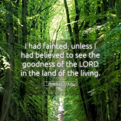 Picture 05 - Psalms 27:13 KJV - I had fainted, unless I had believed to see the - Bible Verse Picture