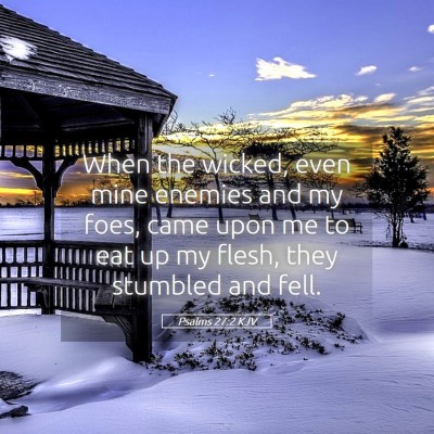 Picture 05 - Psalms 27:2 KJV - When the wicked, even mine enemies and my foes, - Bible Verse Picture