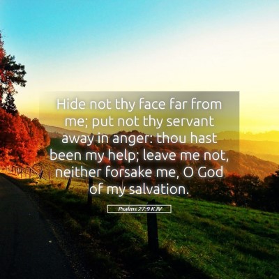 Picture 05 - Psalms 27:9 KJV - Hide not thy face far from me; put not thy - Bible Verse Picture