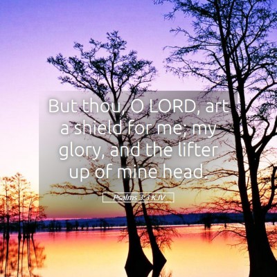 Picture 05 - Psalms 3:3 KJV - But thou, O LORD, art a shield for me; my glory, - Bible Verse Picture
