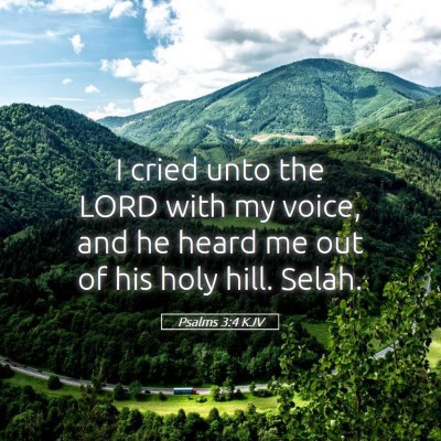 Picture 05 - Psalms 3:4 KJV - I cried unto the LORD with my voice, and he heard - Bible Verse Picture