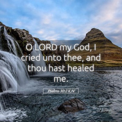 Picture 05 - Psalms 30:2 KJV - O LORD my God, I cried unto thee, and thou hast - Bible Verse Picture