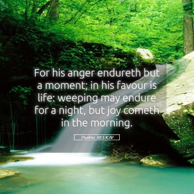 Picture 05 - Psalms 30:5 KJV - For his anger endureth but a moment; in his - Bible Verse Picture