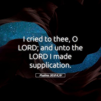 Picture 05 - Psalms 30:8 KJV - I cried to thee, O LORD; and unto the LORD I made - Bible Verse Picture