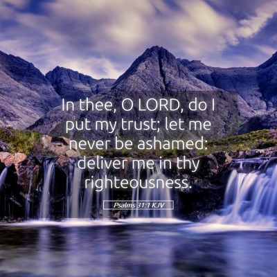 Picture 05 - Psalms 31:1 KJV - In thee, O LORD, do I put my trust; let me never - Bible Verse Picture