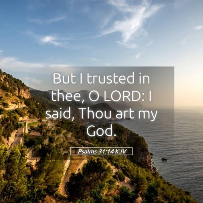 Picture 05 - Psalms 31:14 KJV - But I trusted in thee, O LORD: I said, Thou art - Bible Verse Picture