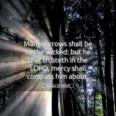 Picture 05 - Psalms 32:10 KJV - Many sorrows shall be to the wicked: but he that - Bible Verse Picture