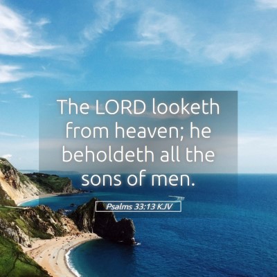 Picture 05 - Psalms 33:13 KJV - The LORD looketh from heaven; he beholdeth all - Bible Verse Picture