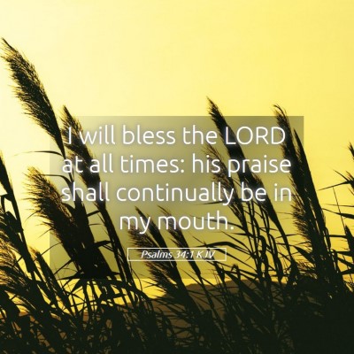 Picture 05 - Psalms 34:1 KJV - I will bless the LORD at all times: his praise - Bible Verse Picture