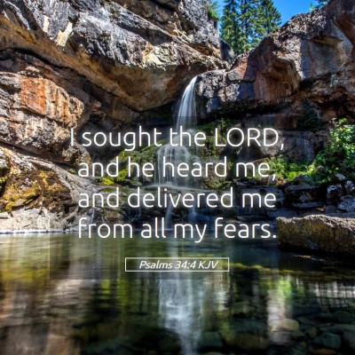 Picture 05 - Psalms 34:4 KJV - I sought the LORD, and he heard me, and delivered - Bible Verse Picture