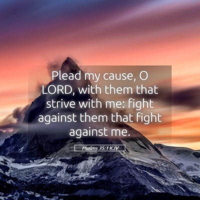 Picture 05 - Psalms 35:1 KJV - Plead my cause, O LORD, with them that strive - Bible Verse Picture