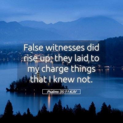Picture 05 - Psalms 35:11 KJV - False witnesses did rise up; they laid to my - Bible Verse Picture