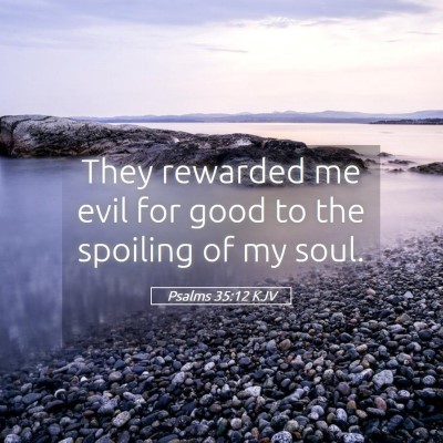 Picture 05 - Psalms 35:12 KJV - They rewarded me evil for good to the spoiling of - Bible Verse Picture