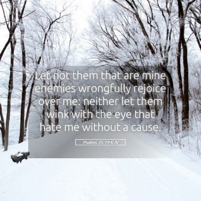 Picture 05 - Psalms 35:19 KJV - Let not them that are mine enemies wrongfully - Bible Verse Picture