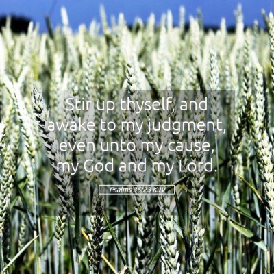 Picture 05 - Psalms 35:23 KJV - Stir up thyself, and awake to my judgment, even - Bible Verse Picture