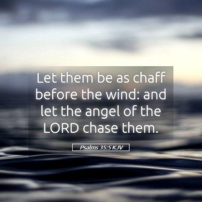 Picture 05 - Psalms 35:5 KJV - Let them be as chaff before the wind: and let the - Bible Verse Picture