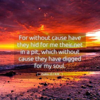 Picture 05 - Psalms 35:7 KJV - For without cause have they hid for me their net - Bible Verse Picture