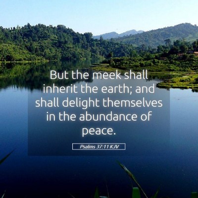Picture 05 - Psalms 37:11 KJV - But the meek shall inherit the earth; and shall - Bible Verse Picture